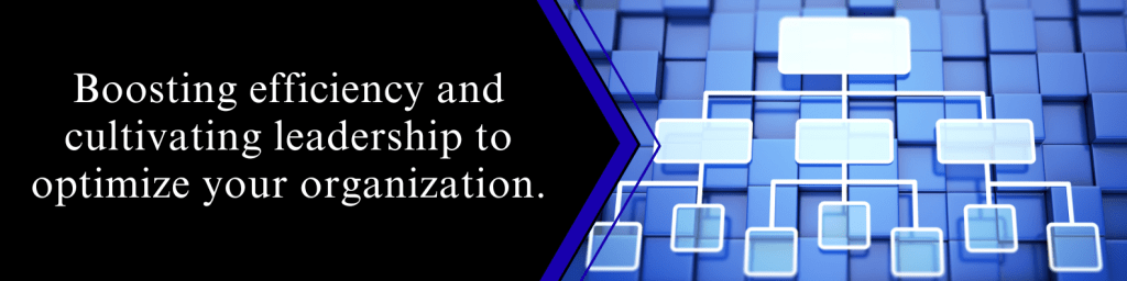 Leadership and Optimization